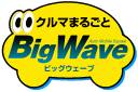 ビッグウェーブ